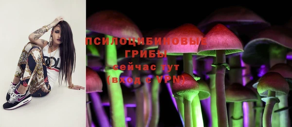 ECSTASY Абдулино