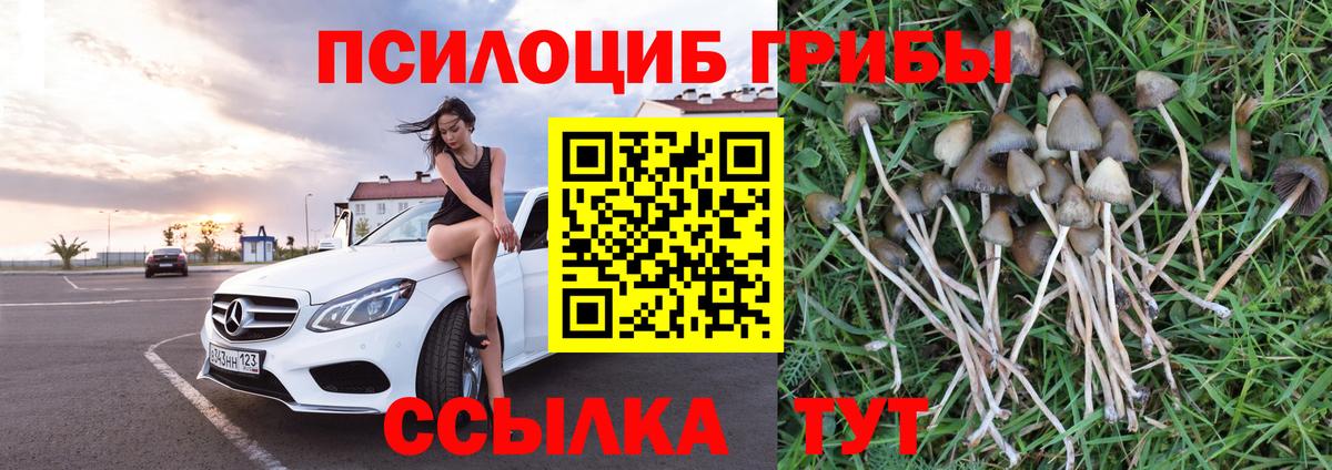 Алексин  Галлюциногенные грибы MAGIC MUSHROOMS  Вход с VPN 