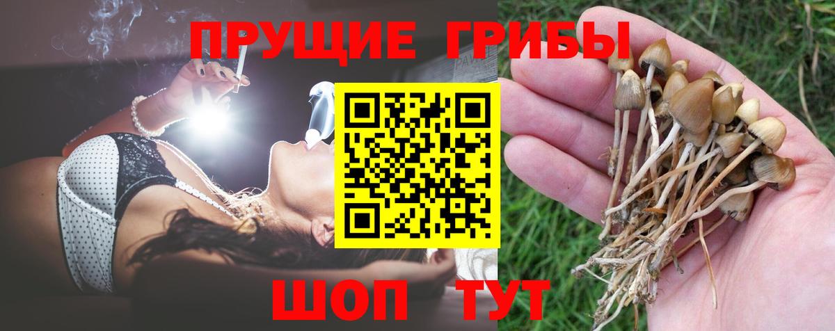 Псилоцибиновые грибы GOLDEN TEACHER Алексин